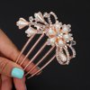 Xerling Elegant Pearly Flower Hair Comb Wedding Bridal Floral Pearl Hair Side Comb Teeths Rhinestone Hair Styling Accessories Decorative Headpiece for Updo Bun Women Girls (comb 2)
