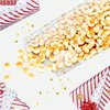 LEOSINDA 100 pcs Clear 5"X 11" Flat Gift Wrap Cellophane Bags Cello Bags Cookie Bags Treat Bags with Twist Ties Poly Bag 1.3 mil for Bakery, Cookie, Candies Gold Star Printed