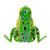Lunkerhunt Frog Fishing Lure for Bass Fishing | Popping Frog 1/4 oz | Topwater Fishing Bait with Weedless Hooks, Hollow Body (Leopard)