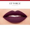 Bourjois Rouge Edition Velvet Lipstick 25 Dark Purple