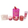 Bath & Body Works Champagne Toast - Mini Gift Set - Lip Scrub, Lip Mask and Lip Gloss With a Himalayan Salts Springs Bar Soap.