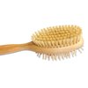 Mars Professional Wood Pin and Bristle Brush for Horses, Mane and Tail, Made in Germany