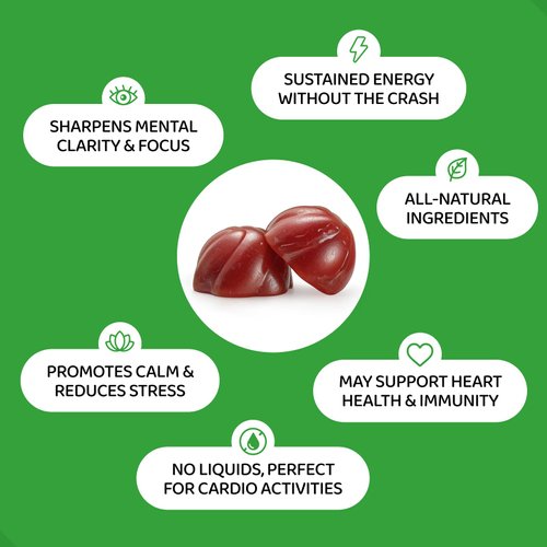 HOLYMARY Yerba Mate Gummies - Energy, Focus, Power Vegan, Non-GMO, Natural Ingredients, Gluten Free, Delicious Dietary Supplement Gummies 3 Pack (90 Gummies)