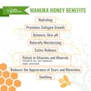 Manuka Honey Shampoo for Eczema & Psoriasis - Hydrating Natural Eczema Shampoo with Aloe Vera & Coconut Oil - Sulfate-Free Moisturizing Shampoo for Dry, Itchy Scalp