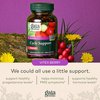 Gaia Herbs Cycle Support - Supports Hormone Balance & PMS Relief - Herbal Supplement with Vitex Berry & Schisandra - Free from Gluten, Dairy & Soy - 60 Vegan Capsules (30 Servings)