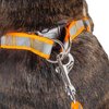Pet Life ® Durable 3M Reflective 2-in-1 Extra Long Pet Leash and Adjustable Dog Harness - Features Thick-Grade Interlocked Reflective Stitching Around Dog Leash for Complete Safety and Durability