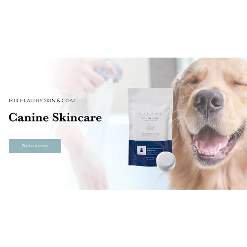 NAGAYU Lactic Acic C02 Skin Therapy 100ct Original (2022 Super Pro Shower Head)