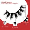 ILLPTA Fluffy Wispy Volume False Eyelashes Strip 3D, Natural Look Thick Waterproof Cat Eye Lashes, 16MM Faux Mink Demi Curly Cateye Fake Eyelashes (5D-06)
