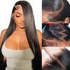 Straight Lace Front Wigs 220 Density 13x4 HD Glueless Frontal Wigs Pre Plucked Natural Hairline with Baby Hair Straight Frontal Wigs Unprocessed Brazilian Virgin Human Hair Wigs for Women 22 Inch