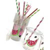 Watermelon Birthday Party Cups 12 oz Disposable Plastic Lids Straws (12 Count)