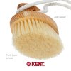Kent FD11 Shower Brush Back Brush Shower Exfoliating Brush Body Wash Brush Oval Bath Brush Exfoliates Wet or Dry Skin and Improves Circulation. Perfect for Lathering and Scrubbing. Made in England.