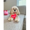 Midlee Red Heart Love Sugar Cookie Valentine's Dog Toy (Small)