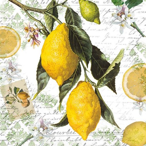20-ct 13x13 Yellow Lemon Napkins Vintage Napkins Decorative Paper Napkins Decoupage Napkins Lemon Cocktail Napkins Fall Napkins Fall Napkins Paper Classic Lemon Paper Napkins for Father Mother Tea