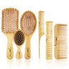 BestFire 6 in 1 Hair Brush Set for Men & Women: Bamboo Bristle Hairbrush, Tail Comb, Double Head Comb, 3 Air Cushion Massage Brushes for Scalp Massaging
