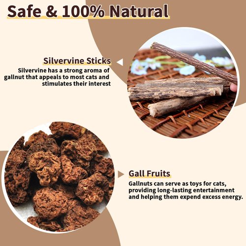 COSOWO 6 Pack Silvervine Cat Chew Toys, Natural Silvervine Sticks for Indoor Cats, Interactive Cats Dental Toy for Teeth Cleaning, Treat Catnip Toy for Kitten