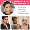 Rebecca Fashion Short Pixie Cut Lace Front Wigs Human Hair Side Part Wig 13x5.5x0.5 Glueless HD Lace Wig Short Pixie Wigs for Black Women Pre Plucked with Baby Hair, Natural Color