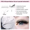 Premade Fans Eyelash Extensions 6D-C-0.10-9 Short Stem Premade Volume Eyelash Extensions 4D 6D 8D Volume Lash Extensions .07 .10 Pre made Lash Fans C D Curl 9 to 20 mm (6D-C-0.10, 9mm)