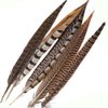Flying Feathers Natural Pheasant Feathers 4 Style 15-20cm 12pcs Natural Feathers for DIY Craft Home Party Decorations FF03…