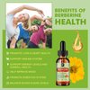 B BEWORTHS Berberine HCL Supplement with Ceylon Cinnamon - Berberine Phytosome Liquid Drops with Turmeric, Ceylon Cinnamon, Bitter Melon, Milk Thistle, Berberine Supplement for Digestion Support