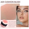Natural Freckle Blush Makeup Kit- Liquid Fake Freckle Air Cushion, 2 Colors Freckle Pen, Powder Cushion Blush, Waterproof Long Lasting Freckles Marker for Cheek