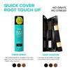 Kiss Quick Cover Root Touch Up Hair Shadow (Dark Brown)