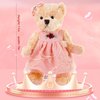 Riverwar Small Teddy Bear Stuffed Animal in a Dress, Cute Soft Plush Toy, Cuddly Gift for Babies, Boys, Girls on Christmas or Valentine's Day (10 inches, Pink Orange Dress)