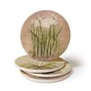 CoasterStone Subtle Flowers Absorbent Coasters, 4-1/4-Inch, Set of 4