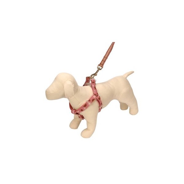 Fox & Hound Ltd. Pink & Brown Polka Dot Ribbon Collection Dog Harness Size: XSmall