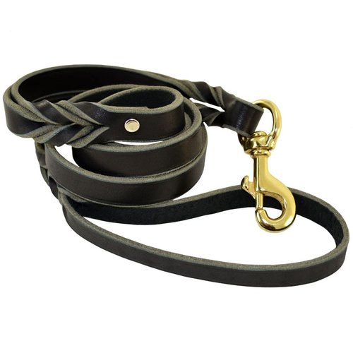 Ray Allen Mfg Signature K9 Double Handle Leather Leash (5', Black)