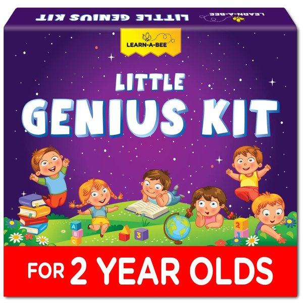 Learnabee Toys for 2 Year Old Boys/Girls | Gift for 2 Year Old Kids | Board Books and Fun Activities |Learning and Educational Toys & Games (1 Box Set)