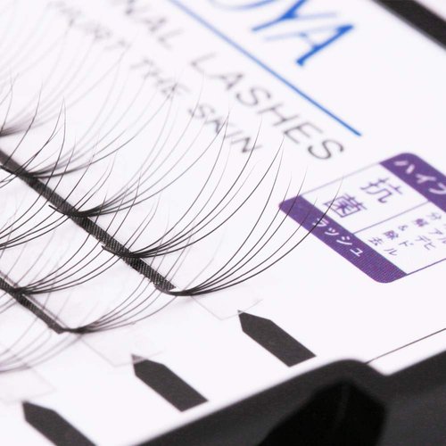 Premade Volume eyelash Extensions 5D Individual Cluster Lashes 0.07mm B Curl Mink Lashes(5D)(10mm)…