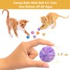 Retro Shaw Catnip Toys, Catnip Balls with Bell, Cat Toys with Silvervine and Catnip, Catnip Toys for Cats, Cat Toys for Indoor Cats, Cat Chew Toy, Cat Nip Toys for Cats Kittens Kitty, 6 Pack