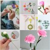 Menecor Floral Arrangement Kit Bouquet DIY Making Tools 24 Gauge Floral Stem Wire,24 Gauge Paddle Wire,Wire Cutter,Tapes