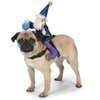 Zack & Zoey Wizard Saddle Dog Costume, Small