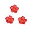 3Pcs Red Hawaiian Flower Hair Clip for Women Girls Fashion Bohemian Flowers Hair Accessory for Dancer Bridal Wedding Beach Party Hair Clip Clips and Barrettes Hair Care, Hawaiian Flower Hair Clips