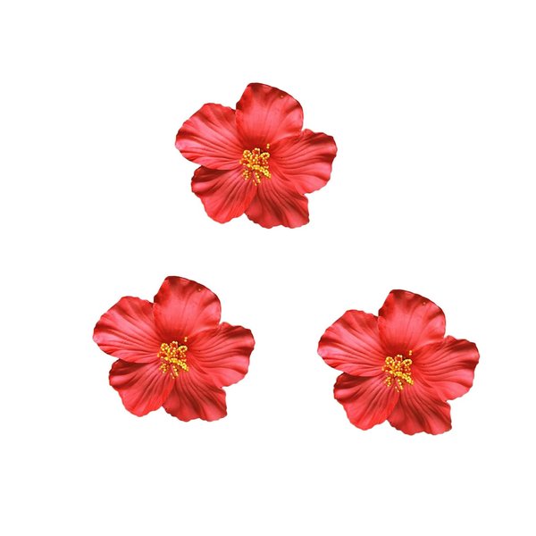 3Pcs Red Hawaiian Flower Hair Clip for Women Girls Fashion Bohemian Flowers Hair Accessory for Dancer Bridal Wedding Beach Party Hair Clip Clips and Barrettes Hair Care, Hawaiian Flower Hair Clips