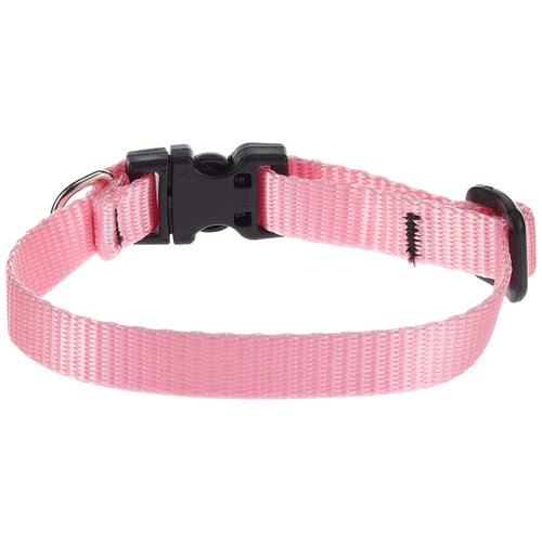LupinePet Basics 1/2" Pink Adjustable Dog Collar 8-12" for Small Dogs
