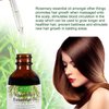 Rosemary Essential Oil(2pcs) for Hair Growth & Skin Care, Face, Dry Scalp Treatment, Serum for Hair Loss Treatment, Scalp Massager, Aromatherapy