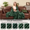 Inhand Fleece Throw Blankets, Super Soft Flannel Cozy Blankets for Adults, Washable Lightweight Blanket for Couch Sofa Bed Office, Warm Plush Blankets for All Season (50"×60", Green)