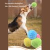 HEEPDD Active Rolling Ball, Interactive Automatic Dog Ball Toy USB Rechargeable Dog Squeaky Ball with 4 Colorful Plush Cover for Puppy Exercise Entertainment