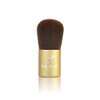 GENIE NUTRATANICALS Antioxidant Foundation Light, 8 gm & Small Kabuki Brush