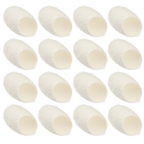 Minkissy 100 Pcs Unhatched Silkworm Cocoons Natural Silkworm Cocoons Silkworm Cocoons Face Silk Ball Cocoons Natural Silk Cocoons Peeling Silkworm Balls for Facial Care