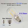 OPALRAY LED G14(G45) Globe Bulb, DC 12V / 24V Input, E12 Small Base, Dimmable with DC Dimmer, 2700K Warm White Light, 2W 200Lm, 25W Incandescent Replacement, for 12Volt Low Voltage Power, 2-Pack