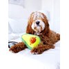 ZippyPaws NomNomz Plush Dog Toy, Stuffed Toy with Round Squeakers and Crinkles, Cute Food Character, Avocado