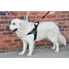DT Universal No Pull Dog Harness, Seizure Response Service Dog, Black, Small, Fits Girth Size: 24-Inch to 27-Inch