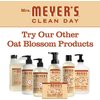 MRS. MEYER'S CLEAN DAY Foaming Hand Soap, Oat Blossom, 10 Fl Oz (Pack of 1)