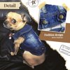 DOGGYZSTYLE Pet Vests Dog Denim Jacket Hoodies Puppy Jacket for Small Medium Dogs (XS, Blue)