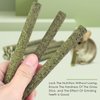 ERKOON 26Pcs Timothy Hay Sticks, Chinchilla Treats, Chew Toys for Teeth for Bunnies Guinea Pigs Gerbil