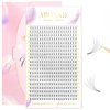 ABONNIE Premade Fans Eyelash Extensions, 400 Fans 5D 10mm Promades Eyelash Fans,0.07 Thickness C Curl Premade Lash Fans, Handmade Premade Fans Volume Lash Extensions (Short Stem 5D 0.07-C 10mm)