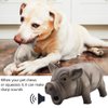 Ichiias Dog Chew Toy Cute Pig Grunting Squeak Latex Dog Puppy Toy(Black)